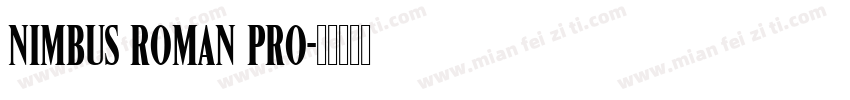 Nimbus Roman Pro字体转换